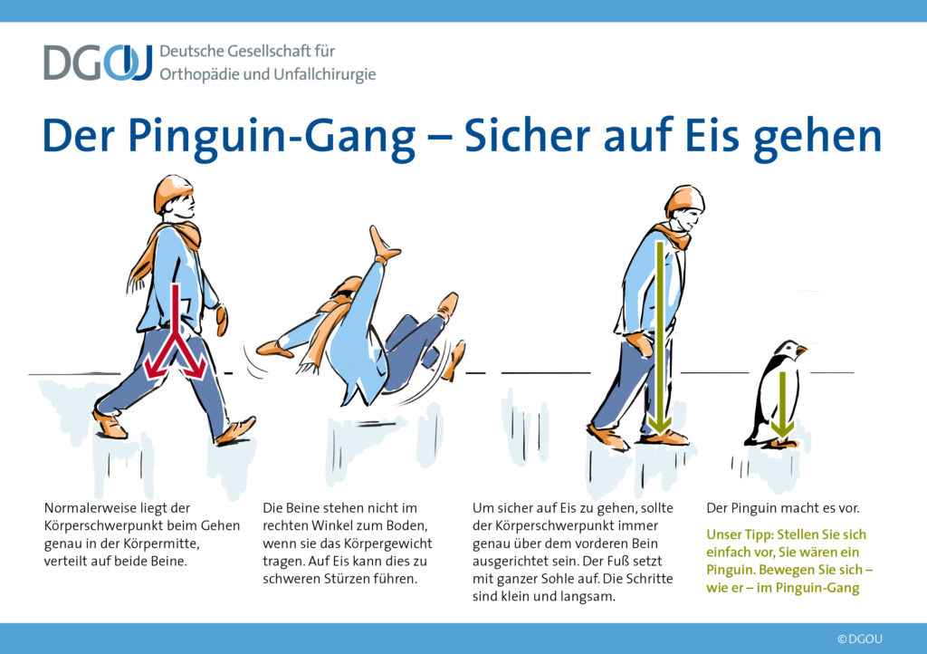 Pinguin Gang bei Glatteis