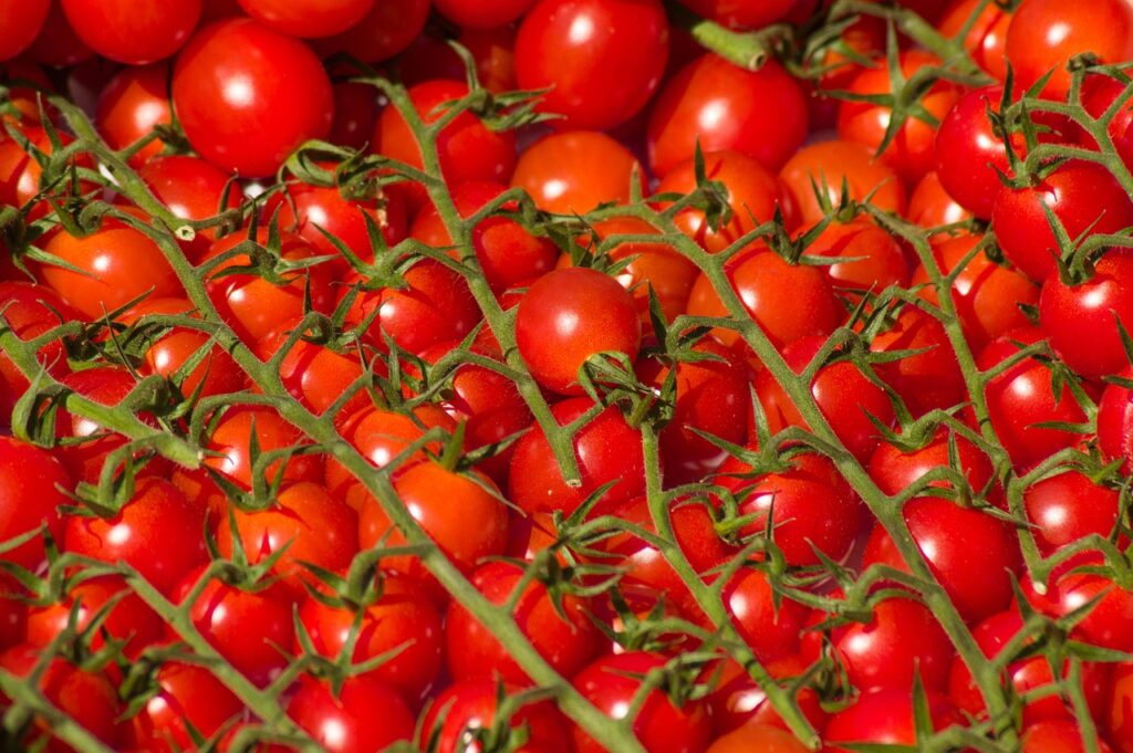 Tomaten gehören auch auf die Spieße zur Einschulung